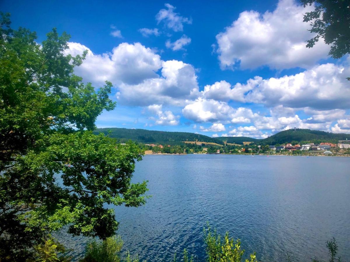 Auszeit Schluchsee - Fewo Tanja - Oase Der Stille - エクステリア 写真
